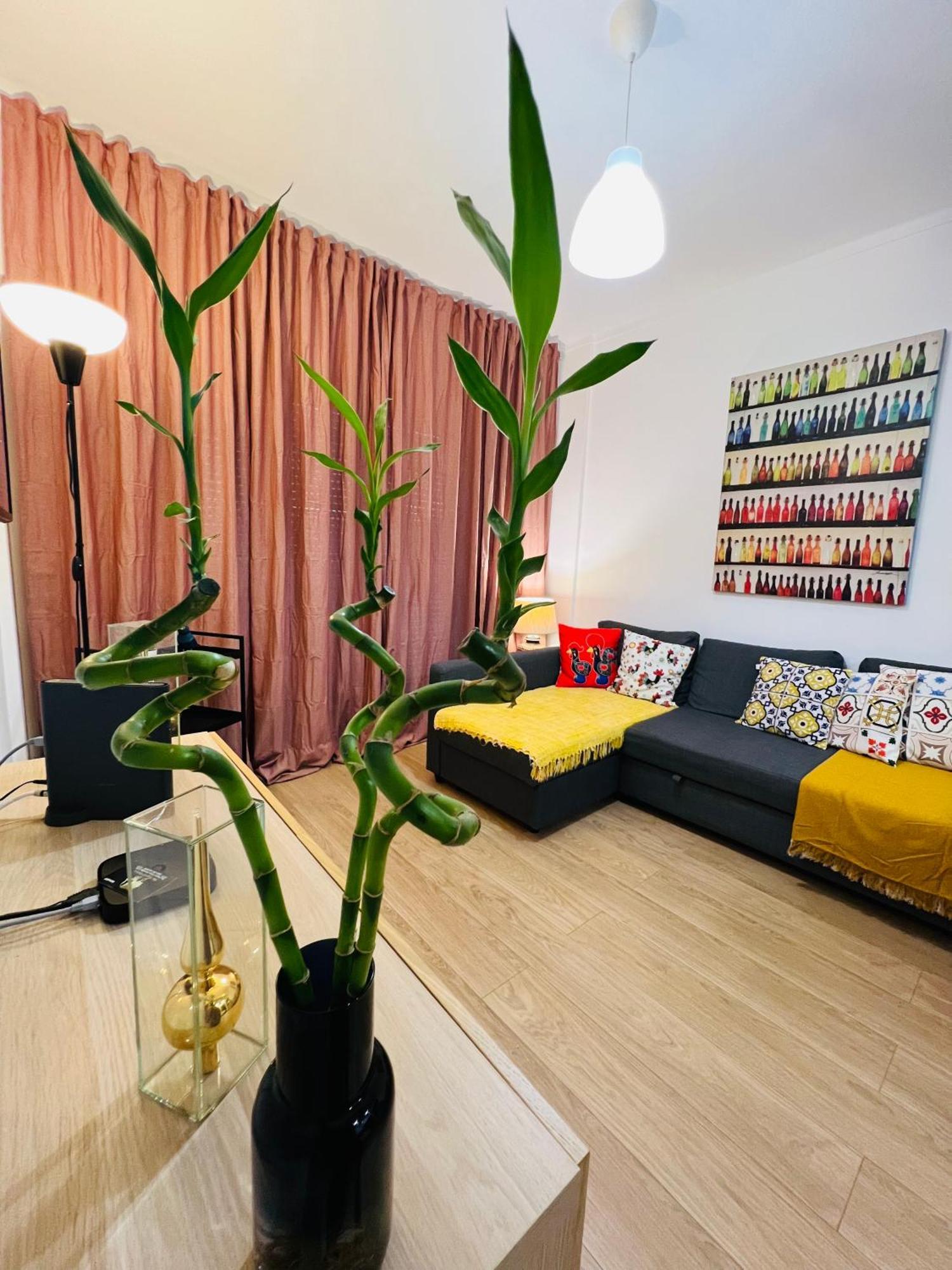 Apartamento Vip Vasco Da Gama -ap Completo Com Terraco 60m2